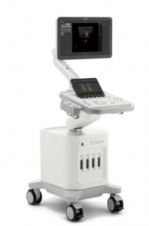 3300 Ultrasound Echo 1 (S+L)